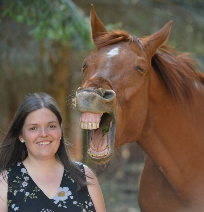 Katrin-Hasenkopf-MKA-Trainerin-Mentalcoach-Beziehungscoach-Pferde-Reiten-Biberach-Willkommen