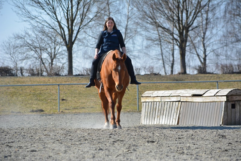 reitunterricht-katrin-hasenkopf-min